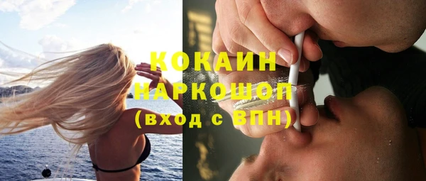 ешки Арсеньев