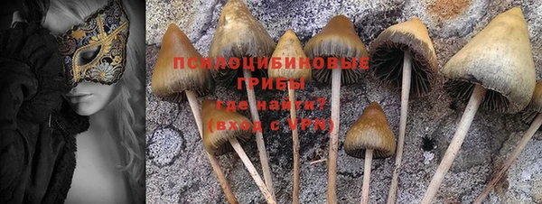 ГАЛЛЮЦИНОГЕННЫЕ ГРИБЫ Армянск