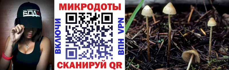 Купить где  Андреаполь  Псилоцибиновые грибы GOLDEN TEACHER 